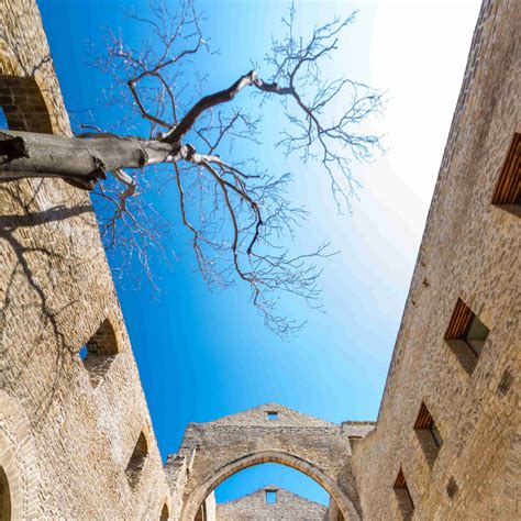 The Hidden Treasures of Palermo - Salt Sicily