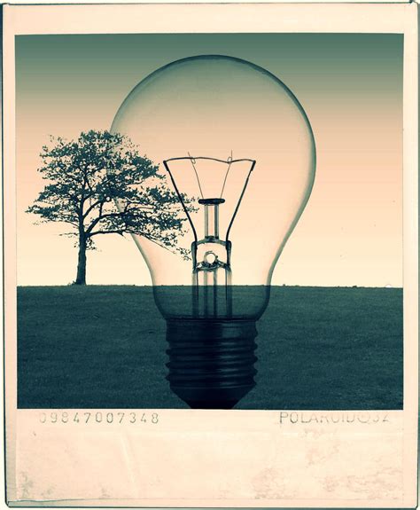 polaroid  psihodrill  deviantart