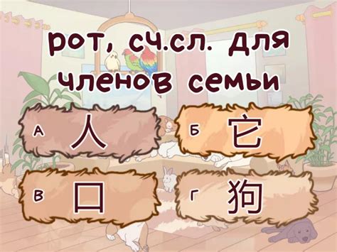 Время учить китайский 5 класс. Урок 14 перевод - Quiz