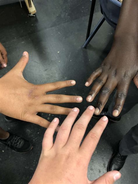Year 8 Photography Competition Finalists Announced