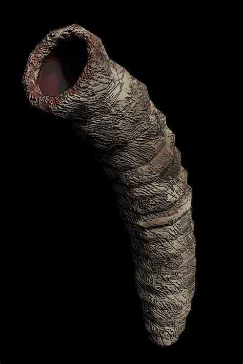 Earth Leviathan | Lethal Company Wiki | Fandom