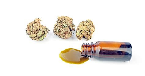 Hash Oil: Everything You Ever Wanted to Know | Beaver Bud