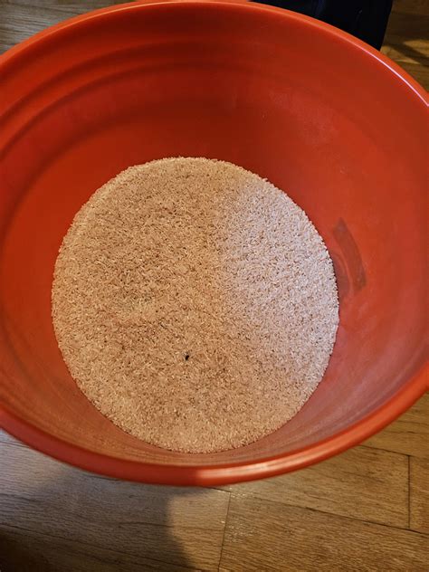 Rice bucket-forearm strength : r/hockeyplayers