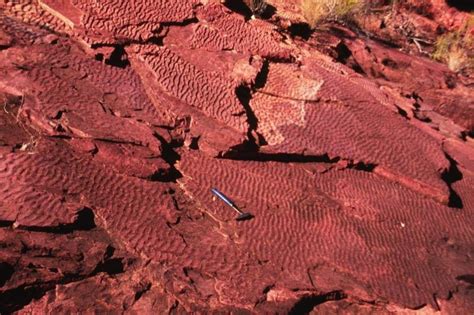 Redbeds (former mud-flats) in Lochness Formation. | Download Scientific ...