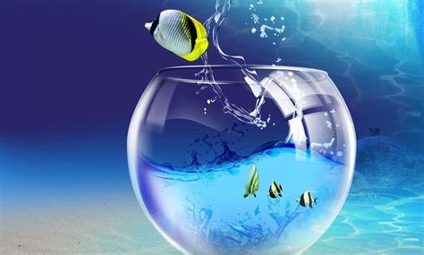 funny screensavers  customize  pc freemake