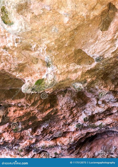 Living underneath bridges has become a surprising new trend for some 24