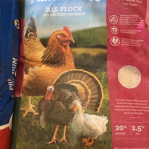 249 best Bigass images on Pholder | Majestic Manes, Yon Ka Gor and