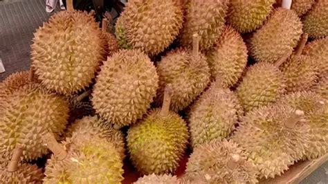 Local Filipino Vendor Selling Durian Fru... | Stock Video | Pond5