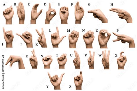 finger spelling  alphabet  american sign language asl stock