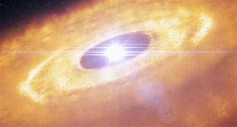 birth   star kuriositas