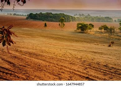 red latosol images stock  vectors shutterstock