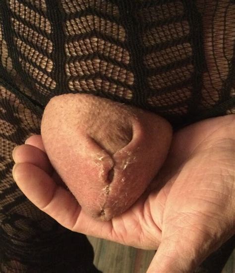Polla convertida en coño con super pegamento | xHamster