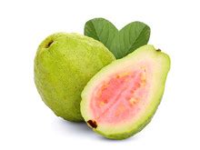 guavas  leaf  macro  stock photo public domain pictures