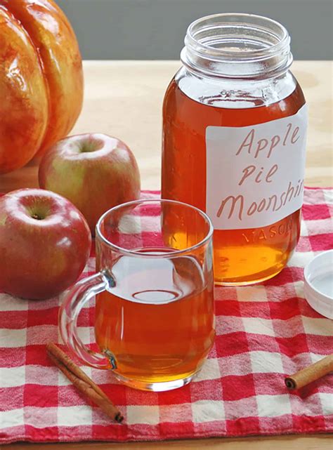 Best Honey Moonshine Recipe | Besto Blog