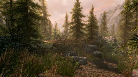 The Elder Scrolls 5: Skyrim - описание, системные требования, оценки ...