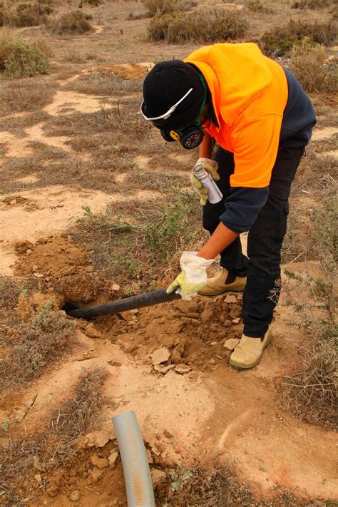 best rabbit hyperactive fast 1