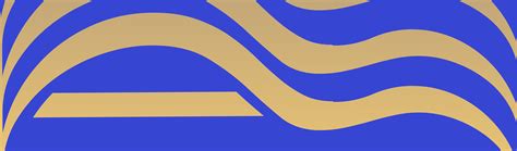 Beyond luxury brand design on Behance