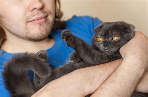 Premium Photo | Portrait of young man holding cat