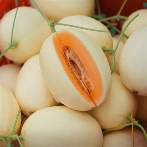 Dưa lưới hồng ngọc F1 – Ninseeds