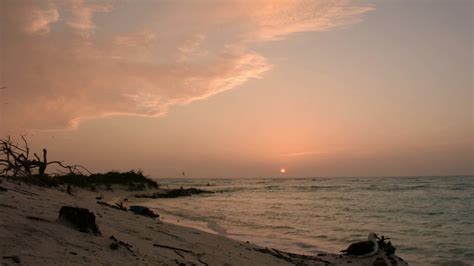 Sunset At Midway Atoll National Wildlife Refuge | bird, United States ...