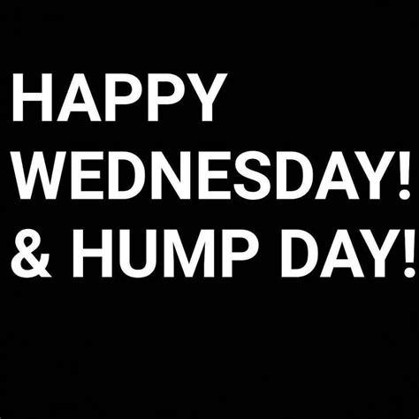 happy wednesday  hump day desicommentscom