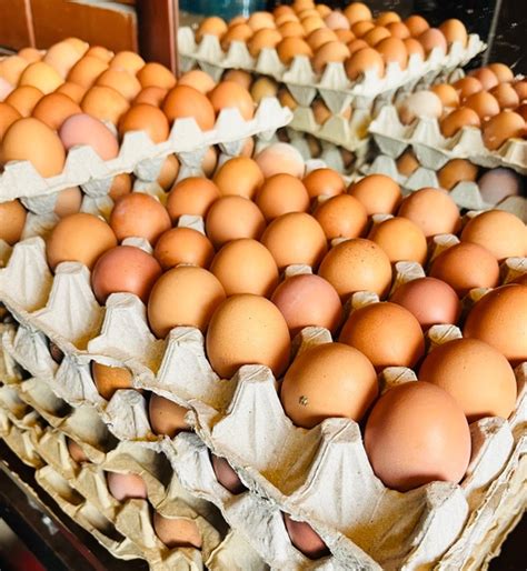 ‼️Акция с 30 января по 3 февраля ‼️ ‼️Успевайте сделать заказ‼️ Яйцо ...