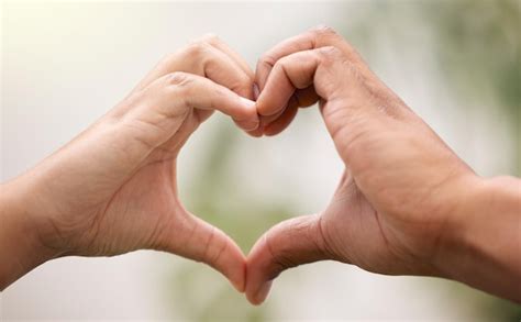Premium Photo | Heart hands sign and couple in nature for care ...