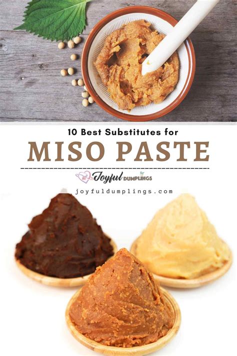 What Is Miso Paste and How To Use Them? A Must-have Secret Ingredient