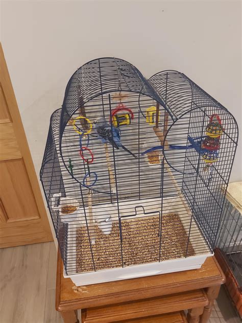 Is this a good cage and space for my budgie ? I believe my budgie is ...