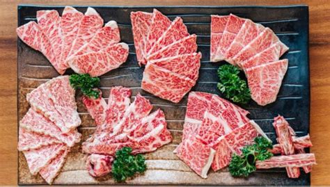 grades  wagyu tintorera