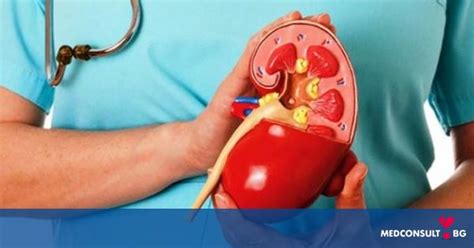 По какви начини се лекува рака на бъбреците — Medconsult.bg