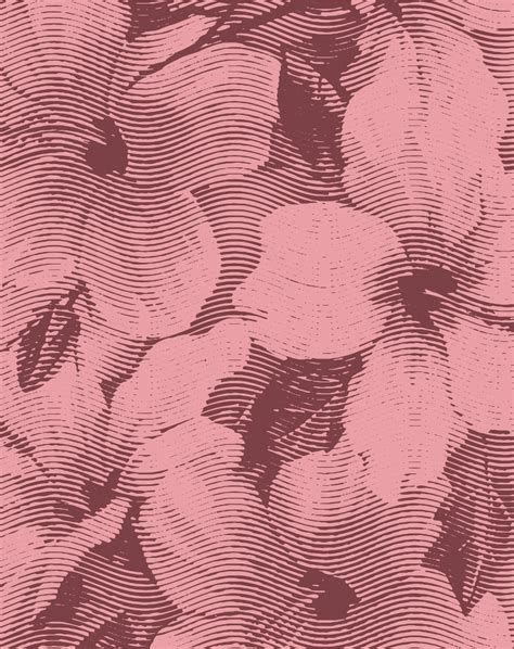 Gancia Spritz Hibiscus | Shakespear Works