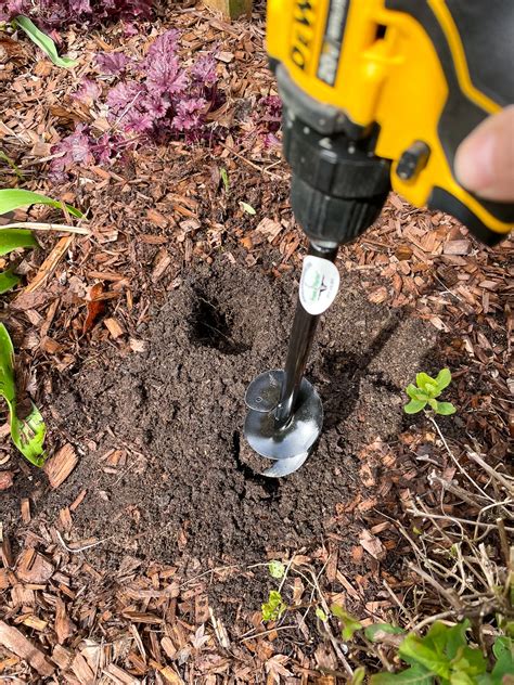 How to Plant Calla Lily Bulbs - growhappierplants.com