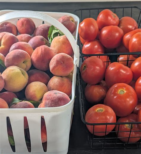 Eggleston Garden Center added a... - Eggleston Garden Center