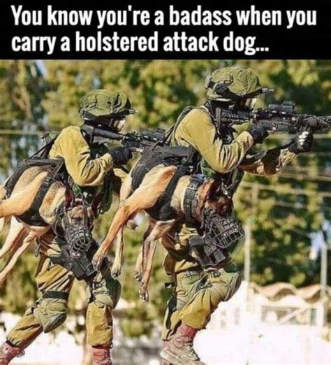 Other Attack dog