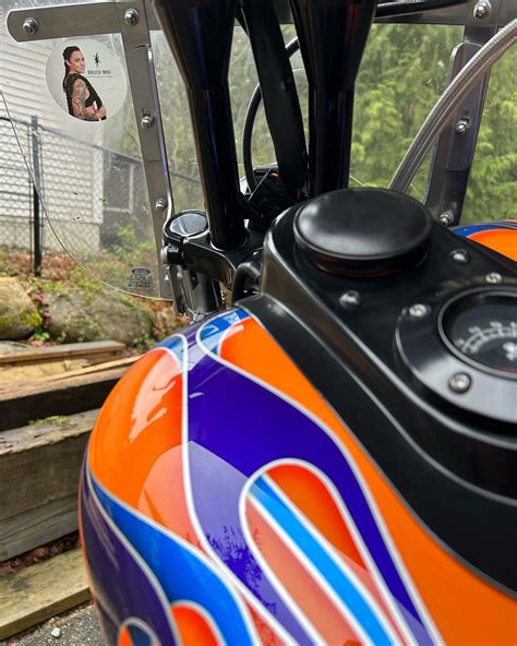 Bailey Rose (@baileyrose.xo) • Instagram photos and videos