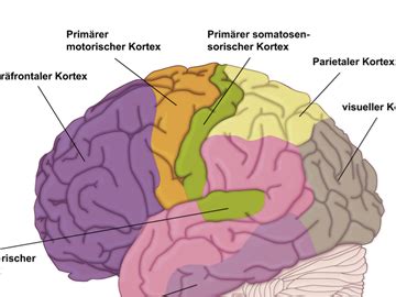 NTC - Krankheitsbilder