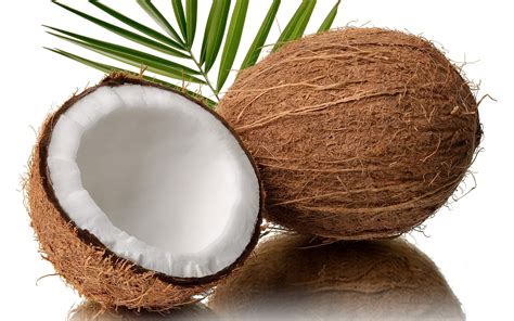 O Que Significa Coconut