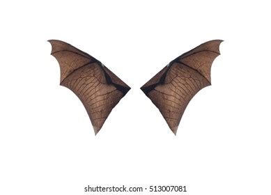 bat wings