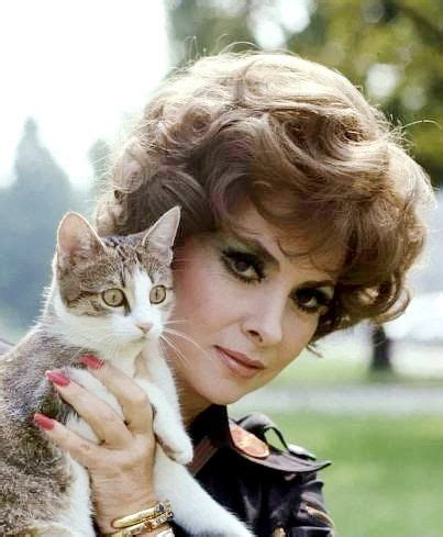 Gina Lollobrigida, & her adorable cat | Милые котики, Джина ...