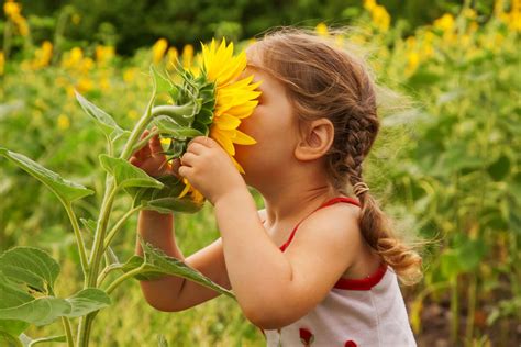 Benefits of Nature for Children and Families | Roots of Action