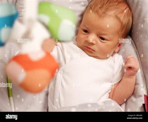 weeks  newborn baby stock photo alamy