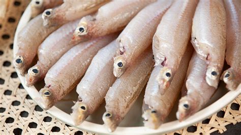 nam  raw fish salad danang fantasticity da nang city tourism