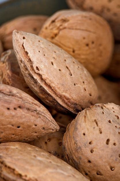 photo close  view  almonds  shell
