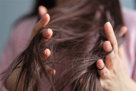 6 Types of Hair Damage & How to Avoid It - Little Extra