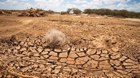 dry land  africa