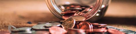 fees finance mla