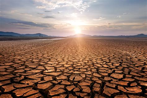 O'que E Desertificação - Desertificação: o que é, causas, consequências