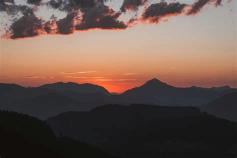 Penthouse+Centerfold+Pictures Photos, Download The BEST Free Penthouse