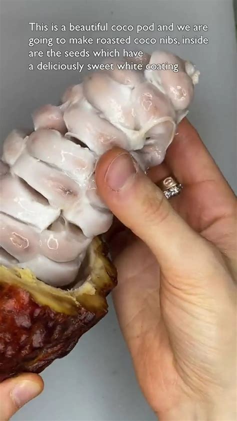 Chocolate fans left 'uncomfortable' after discovering what cocoa pods